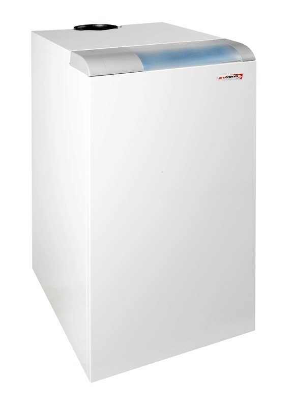 Газовый котел Protherm Медведь 20 KLOM